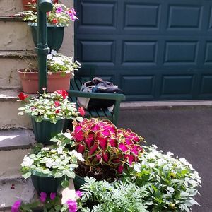 Meet your Posher, Sheila